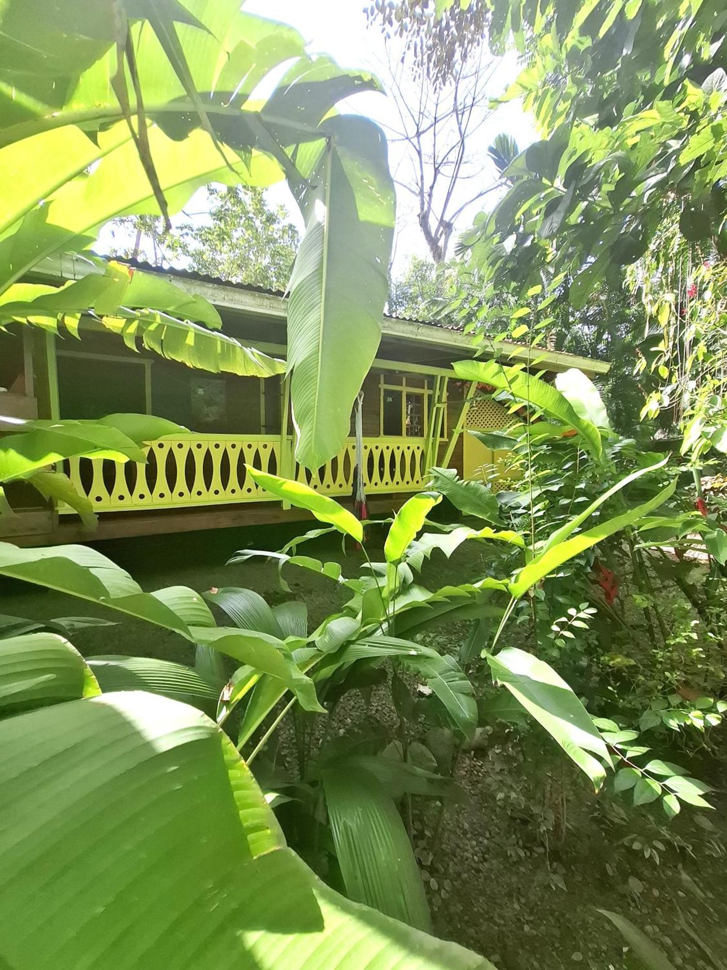 El Jardin De Playa Negra Villa Puerto Viejo de Talamanca Ngoại thất bức ảnh