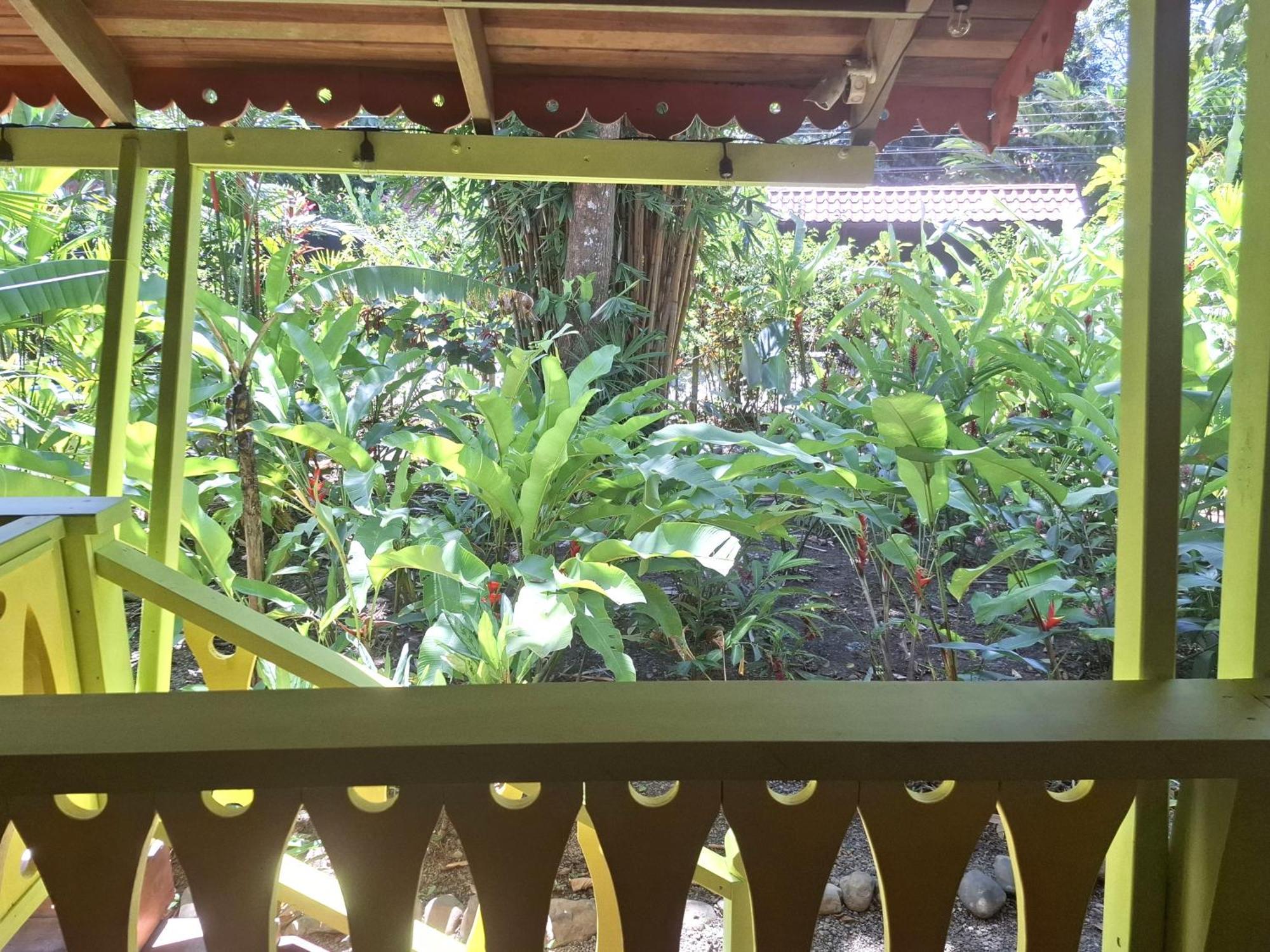 El Jardin De Playa Negra Villa Puerto Viejo de Talamanca Ngoại thất bức ảnh