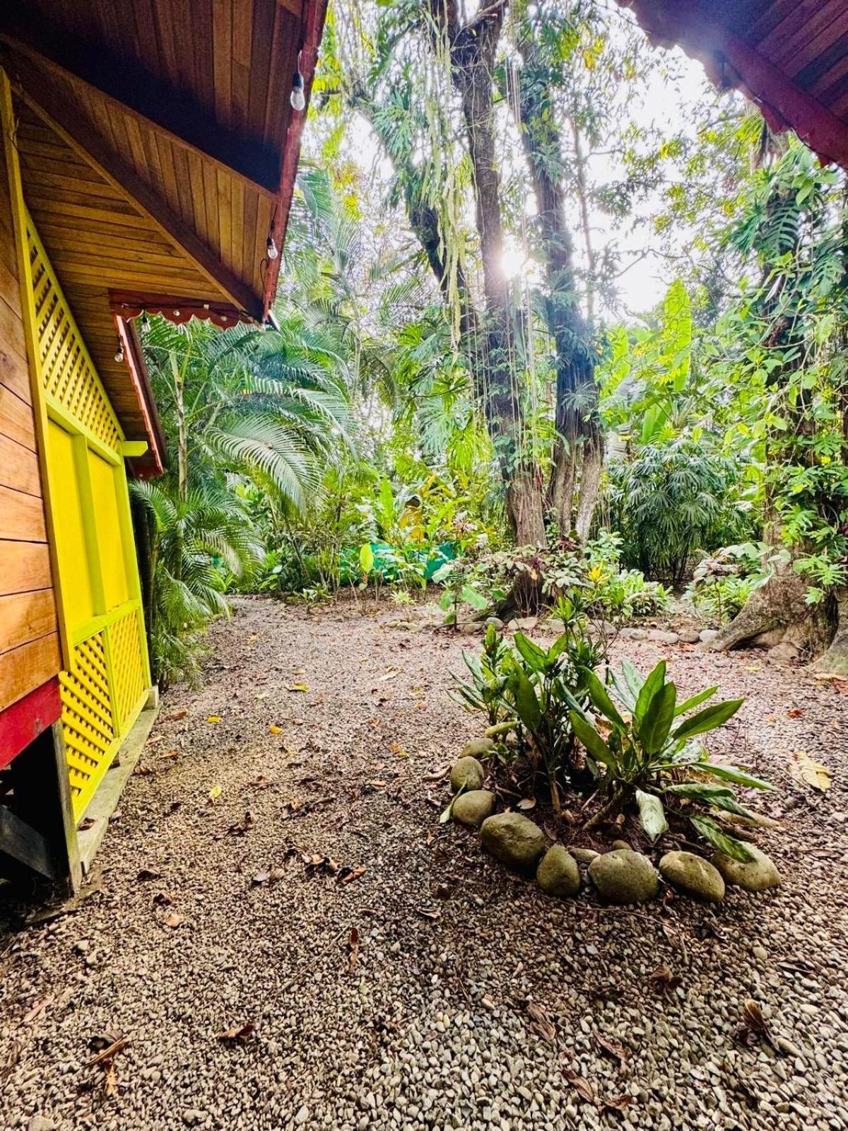 El Jardin De Playa Negra Villa Puerto Viejo de Talamanca Ngoại thất bức ảnh