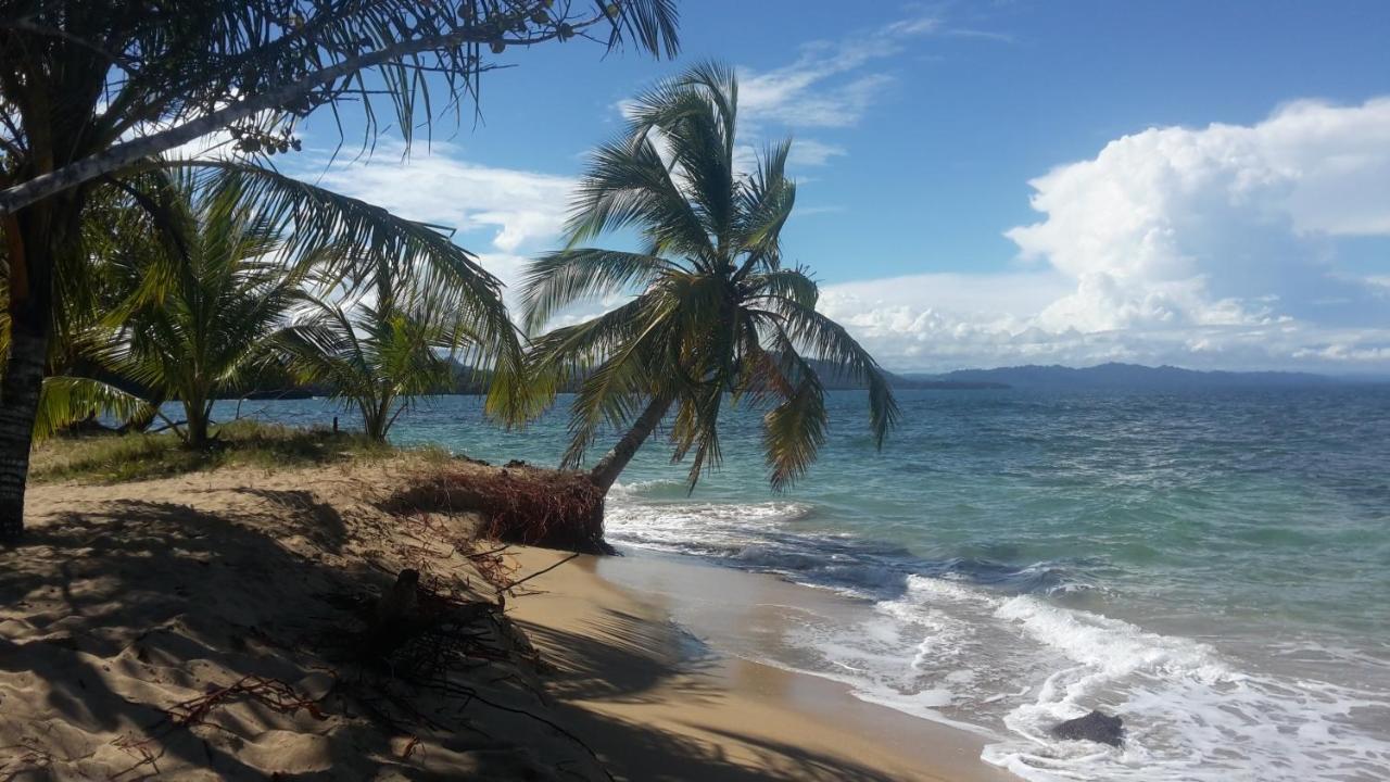 El Jardin De Playa Negra Villa Puerto Viejo de Talamanca Ngoại thất bức ảnh