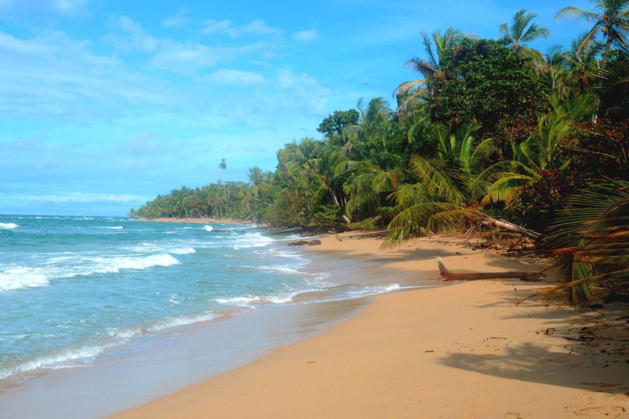 El Jardin De Playa Negra Villa Puerto Viejo de Talamanca Ngoại thất bức ảnh